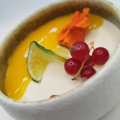 PANNA COTTA BOL