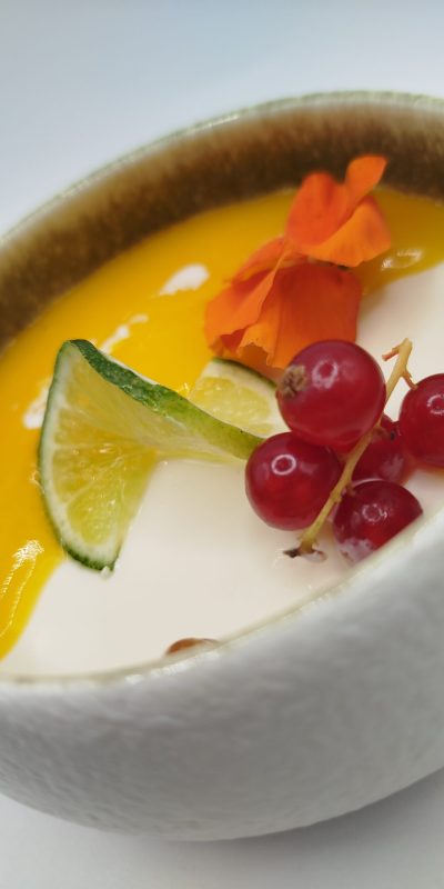 PANNA COTTA BOL